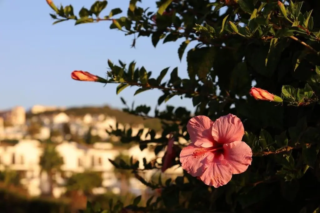 Apartment Marina Castillo, Beachfront Sea Views 500M To Beach And Duquesa Marina Manilva